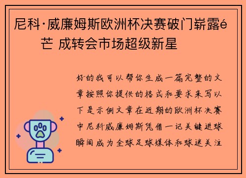 尼科·威廉姆斯欧洲杯决赛破门崭露锋芒 成转会市场超级新星
